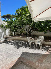 Casamicciola Terme-centrale bilocale con giardino