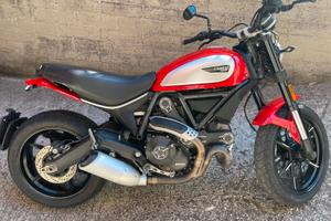 Ducati Scrambler 800 icon