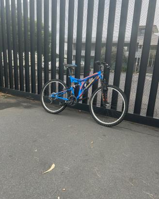 bici casadei