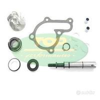 Kit revisione pompa acqua Kymco Downtown 125