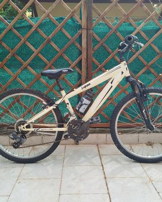 bici usate