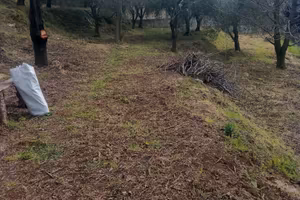 Terreno agricolo 4000mt