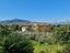 Immagine 19