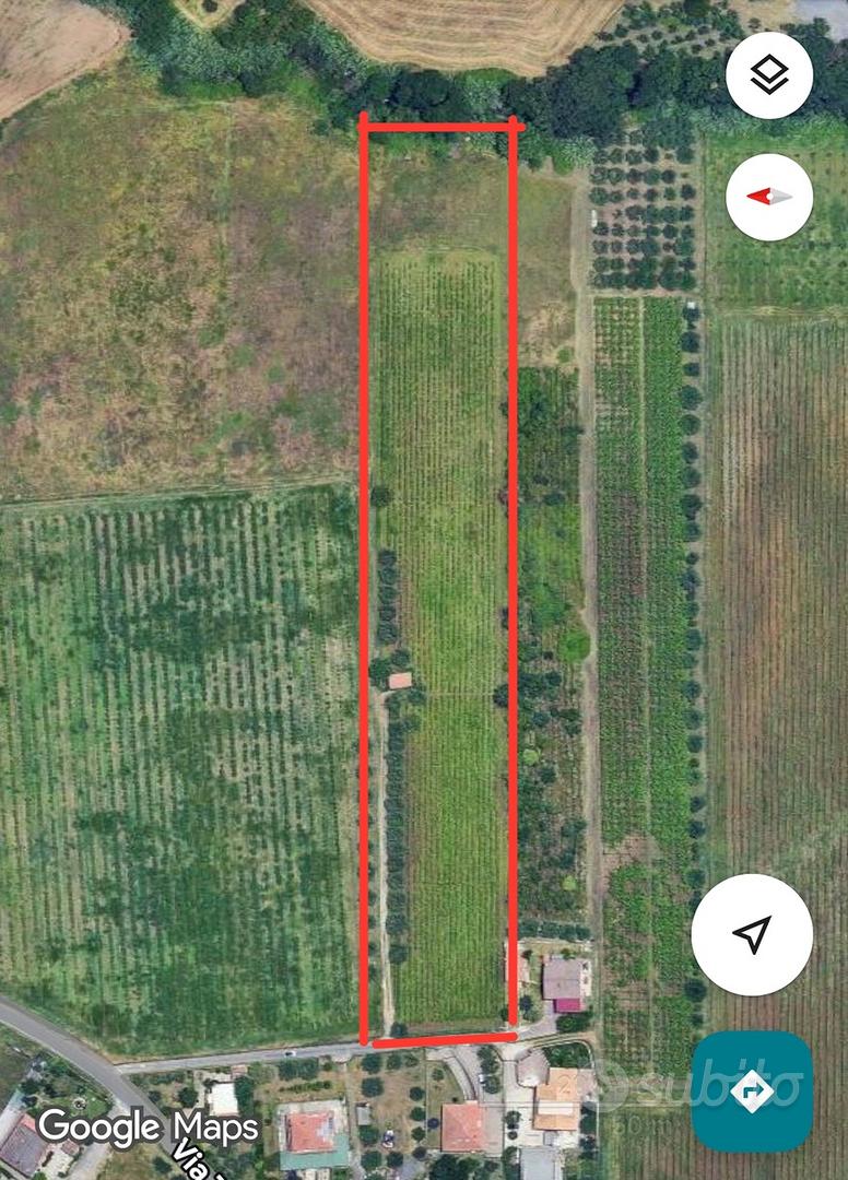 Terreno agricolo 12000mq vigneto e uliveto - Altro