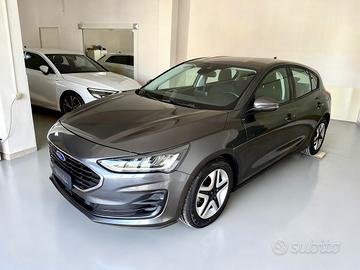 Ford Focus 5 Porte Focus 1.5 ecoblue Business 120c