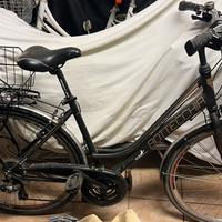 Bicicletta bottecchia