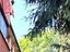 Immagine 4