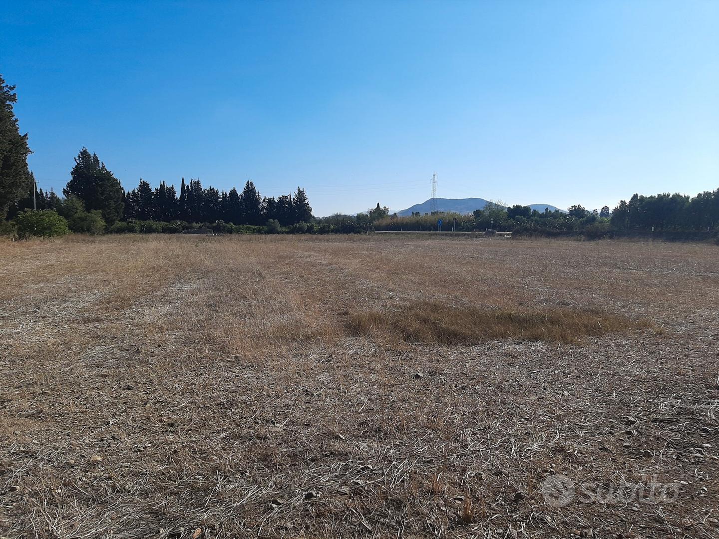 Monastir. Terreno agricolo in parte piantumato - Vista 3