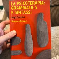 La psicoterapia: grammatica e sintassi