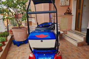 scouter per disabili