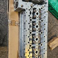 testata daily 3.0 502270036