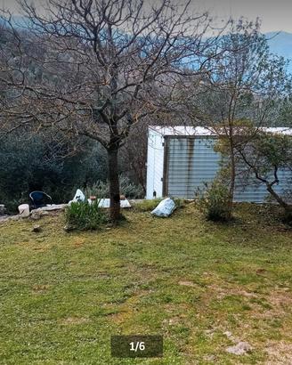 terreno uliveto