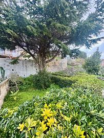 Casa indipendente con cortile e giardino