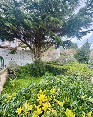 Casa indipendente con cortile e giardino