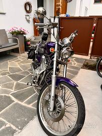 Suzuki Intruder vs800