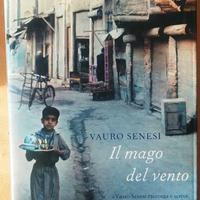 Titolo: Il mago del vento Autore: Vauro Senesi