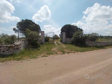 Fabbric-villetta + trullo e ter. - km. 8 buoncamm