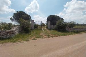 Fabbric-villetta + trullo e ter. - km. 8 buoncamm