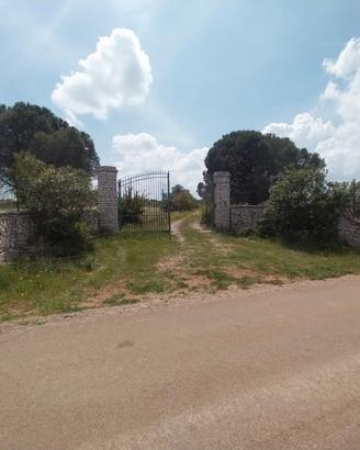 Fabbric-villetta + trullo e ter. - km. 8 buoncamm