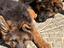 Immagine 5