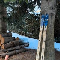 Sci alpinismo Volkl Nutara