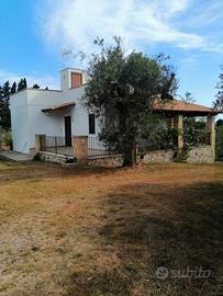 Villetta tra gli ulivi