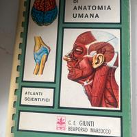 Tavole di Anatomia Umana 1968