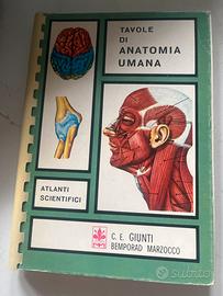 Tavole di Anatomia Umana 1968