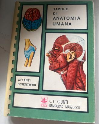Tavole di Anatomia Umana 1968