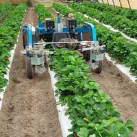 Agevolatrice elettrica per la raccolta di ortaggi