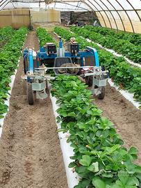 Agevolatrice elettrica per la raccolta di ortaggi