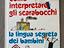 Immagine 1