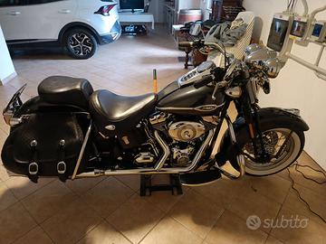 Harley springer