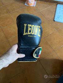 Guantoni (10 oncie) con sacco ad acqua e corda