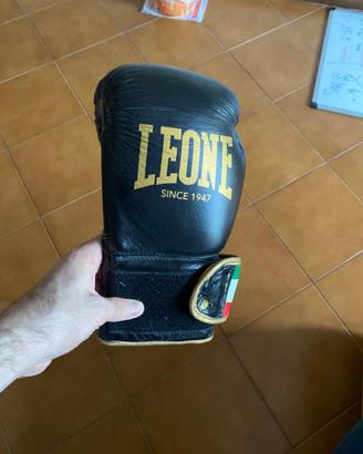 Guantoni (10 oncie) con sacco ad acqua e corda