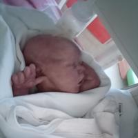 bambola Reborn :Rose Jane