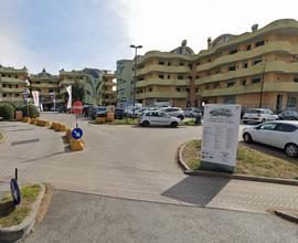 Locale commerciale - Rosignano Marittimo