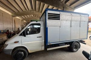 Mercedes benz trasporto animali vivi