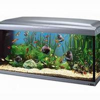 acquario kayman 300 litri
