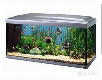 acquario kayman 300 litri
