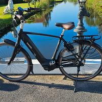 Gazelle Grenoble Elite C7+ 500Wh