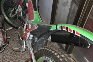 beta rev 250