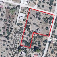 Rigaletta Milo - Lotto agricolo mq 4.800 ca