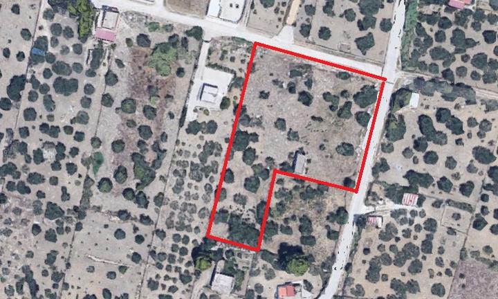 Rigaletta Milo - Lotto agricolo mq 4.800 ca