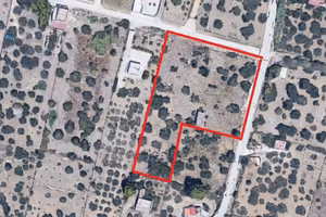 Rigaletta Milo - Lotto agricolo mq 4.800 ca