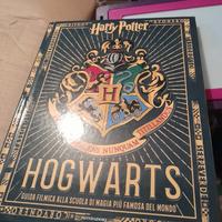 libro harry potter
