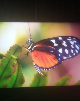 Smart TV Sony Bravia 55" 4 K Ultra HD 120Hz HDR 