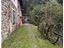 Immagine 11