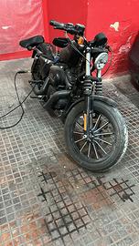 Harley davidson 883