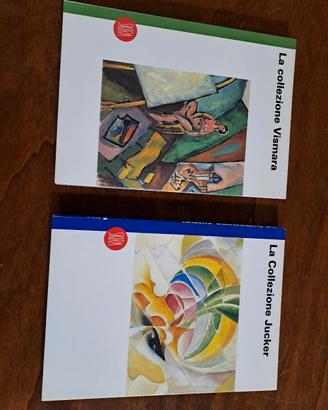 Libri collezioni Vismara e Jucker arte studio 